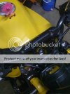 IMG_0175.jpg IMG_0175.jpg
