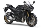 2011-yamaha-fz1-engiw.jpg