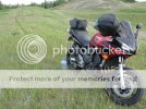 DSC01526.jpg