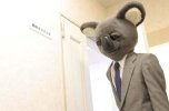executive_koala_02-thumb.jpg