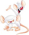 PinkyBrain-01.jpg PinkyBrain-01.jpg