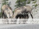 IMG_0023.jpg IMG_0023.jpg