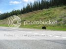 IMG_4323.jpg IMG_4323.jpg