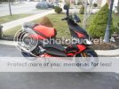IMG_0457.jpg