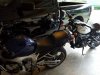 20161005_070621.jpg