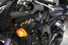 fz1.jpg fz1.jpg