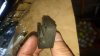 DSC_0505.jpg DSC_0505.jpg