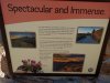IMG_20170627_095845831.jpg