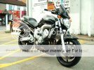 FZ62.jpg