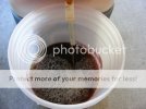 brewing_8.jpg
