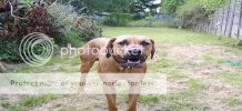 CAMERAPICTURES018-2.jpg