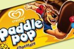 paddle-pop-lion.jpg paddle-pop-lion.jpg