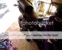 th_MOV01899.jpg th_MOV01899.jpg