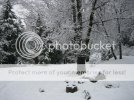 febsnow002.jpg febsnow002.jpg