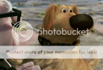 squirrel.png squirrel.png