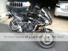 WP_000019.jpg