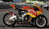 Honda-RC212V-Vegemite-Morgan-Driessen-635x372.jpg