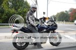 DSC_2194edit.jpg