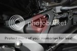 DSC_4011Likethis-lr.jpg