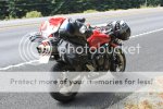 IMG_1175.jpg