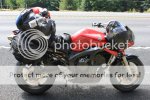 IMG_1176.jpg