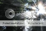 IMG_1268.jpg