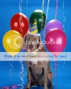Dog20Birthday20Corbis20ValuPak20115.jpg