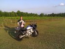 IMG_20110508_183414.jpg IMG_20110508_183414.jpg