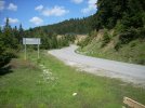 DSCN5720.jpg DSCN5720.jpg