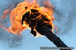 6910flaming_torch.jpg 6910flaming_torch.jpg