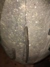 IMG_20110619_062448.jpg