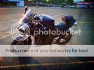 IMG_20110709_194842f.jpg