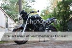 fz6black021.jpg