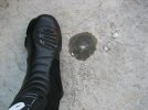 IMG_2678.jpg IMG_2678.jpg
