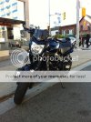 fz6naked3.jpg