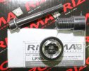 Rizoma_LP300.jpg