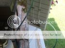 2011-08-09130026.jpg