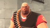 gVFIT.gif