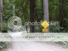 JedediahSmithStatePark-5.jpg JedediahSmithStatePark-5.jpg