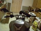 user4924_pic2624_1235334543.jpg