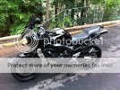 bike2.jpg
