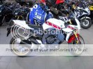 FZ13.jpg