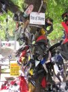 IMG_2388.jpg IMG_2388.jpg