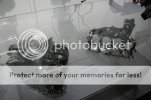 IMG_1766.jpg