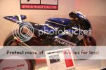 IMG_1891.jpg