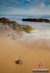 20110821-Crystal-Cove-101-L.jpg 20110821-Crystal-Cove-101-L.jpg