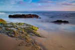 20110821-Crystal-Cove-102-L.jpg 20110821-Crystal-Cove-102-L.jpg