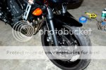 DSC_4892R6ForksDone.jpg