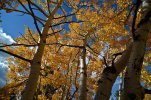 DSC_2216.jpg