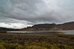 DSC_2262.jpg